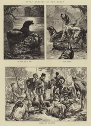 Otterjagt i Norden